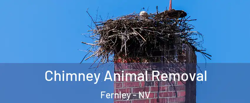  Chimney Animal Removal Fernley - NV