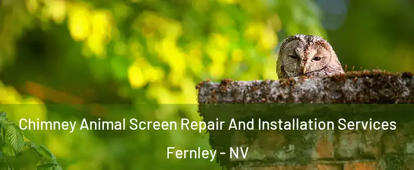  Chimney Animal Screen Repair And Installation Services Fernley - NV