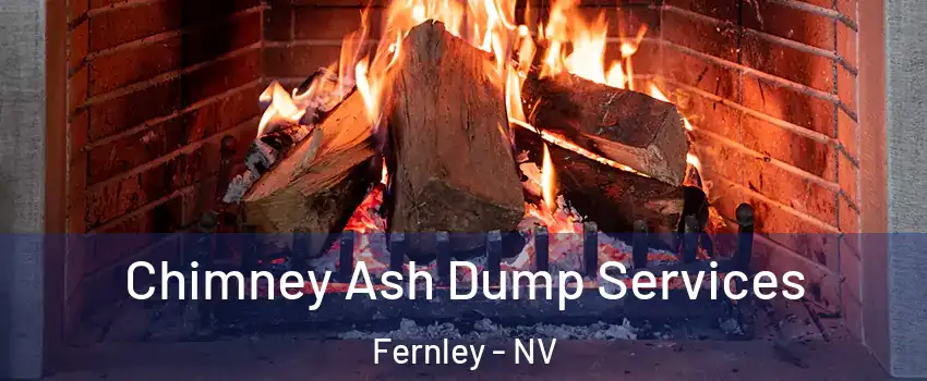  Chimney Ash Dump Services Fernley - NV