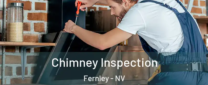  Chimney Inspection Fernley - NV
