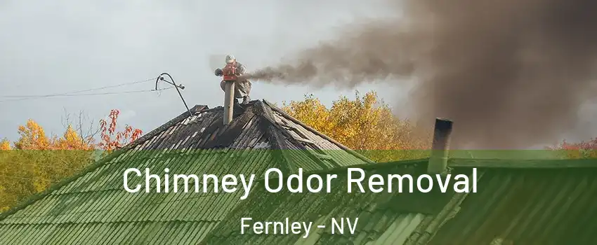  Chimney Odor Removal Fernley - NV