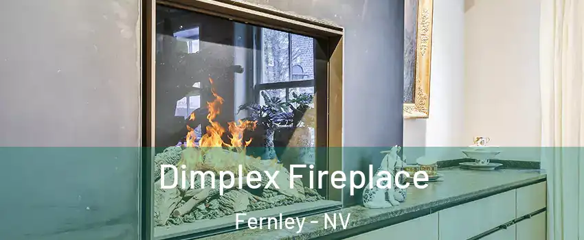  Dimplex Fireplace Fernley - NV