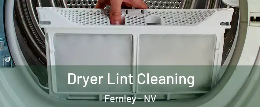 Dryer Lint Cleaning Fernley - NV