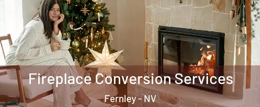  Fireplace Conversion Services Fernley - NV