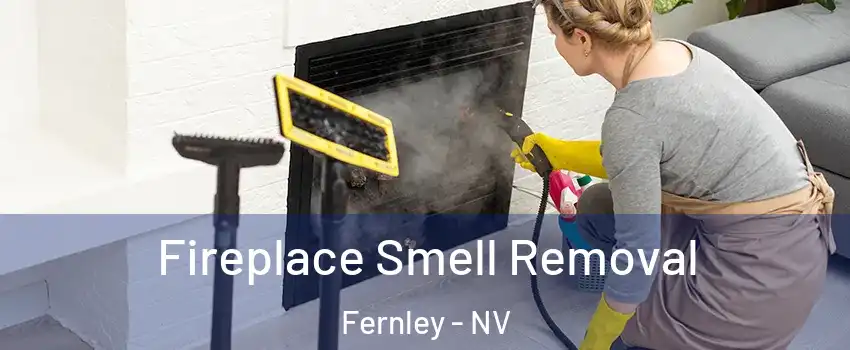  Fireplace Smell Removal Fernley - NV
