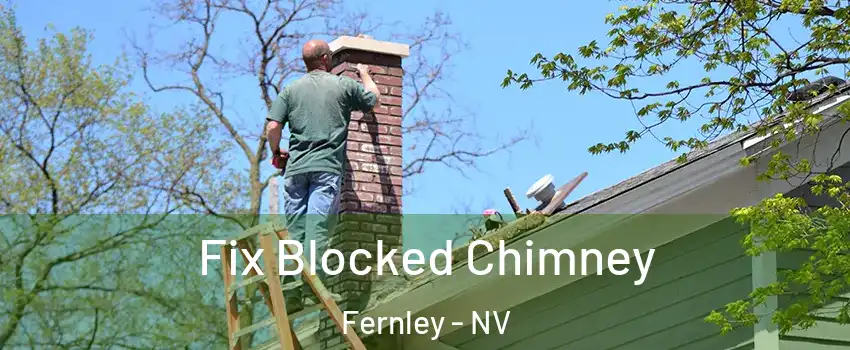  Fix Blocked Chimney Fernley - NV