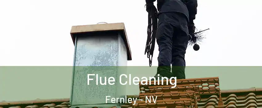  Flue Cleaning Fernley - NV