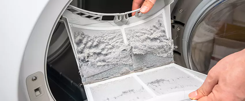 Best Dryer Lint Removal Company in Fernley, Nevada