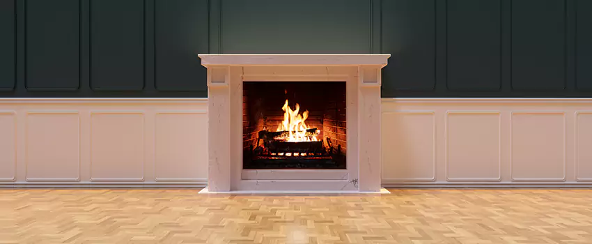 Napoleon Electric Fireplaces Inspection Service in Fernley, Nevada
