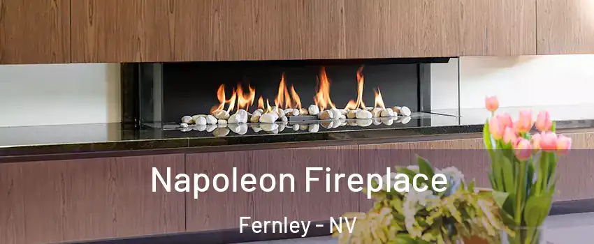  Napoleon Fireplace Fernley - NV
