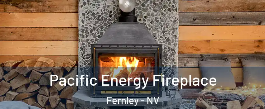 Pacific Energy Fireplace Fernley - NV